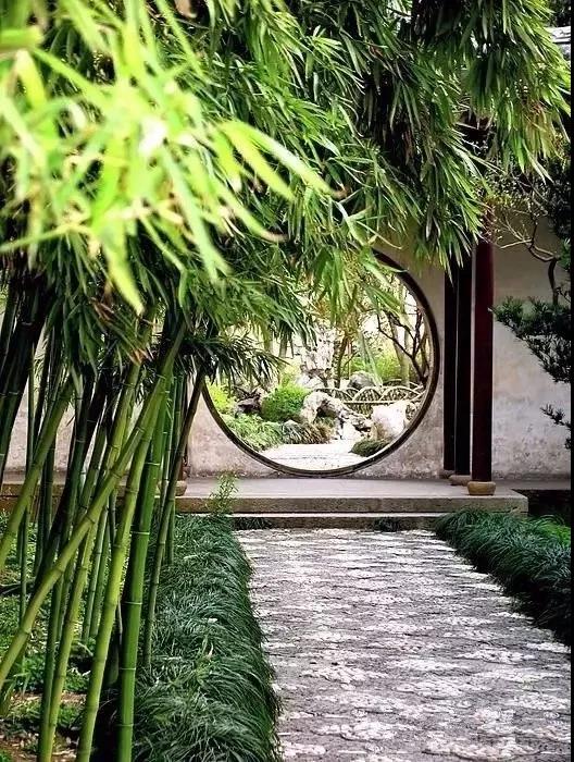 "风乍起,吹皱一池春水 让院子增添美感之余 又多了一份清宁和雅静